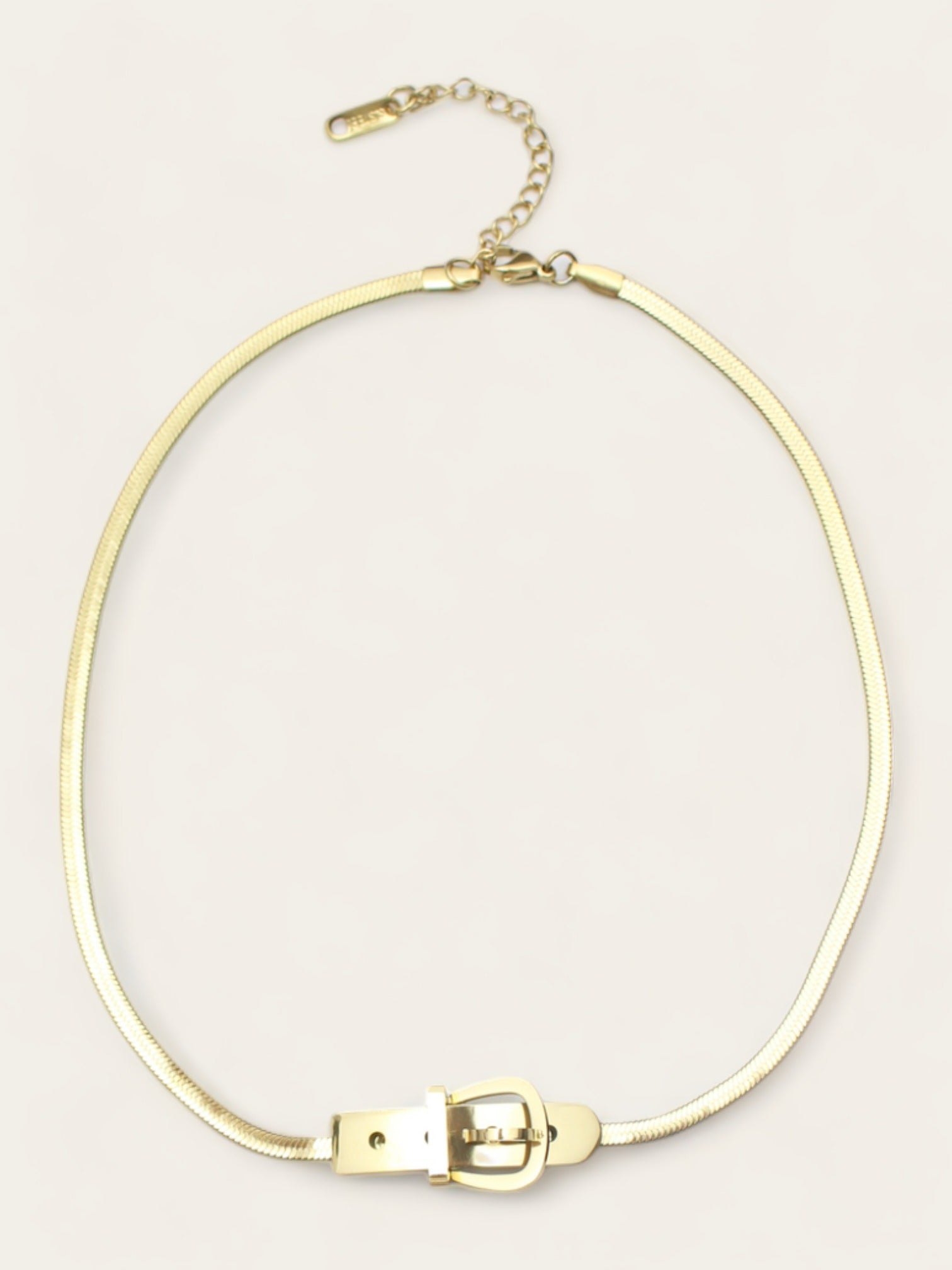Gold Buckle Choker Ynez Project